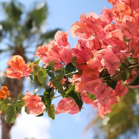 Holiday home Cala Serena 6 Cala Serena (Mallorca)